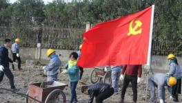 寧波海螺水泥公司黨員突擊隊 “造綠色廠區(qū)，建美麗企業(yè)”
