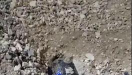 大貨車闖紅燈側(cè)翻!小車瞬間被埋!致3人死亡！