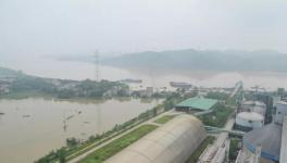 7人死亡9人失蹤！多省緊急發(fā)文！800多家水泥廠出貨量暴跌！