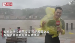 霸王級臺風席卷多省份!近1000家水泥銷售受影響！  