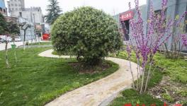 豫南水泥有限公司轉(zhuǎn)型發(fā)展紀實