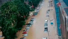 立即撤離！15個省市緊急預(yù)警！水泥價格集體下跌！