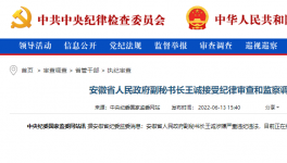 突發(fā)！海螺原董事長(zhǎng)被查！