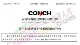 缺錢！海螺子公司“架空”！“借錢”100億 ！