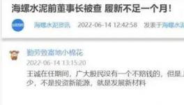 海螺蒸發(fā)1300億，逾700億元投資或存變數(shù)！