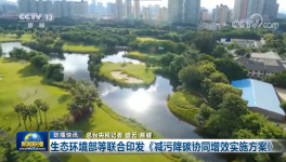 環(huán)保政策加嚴(yán)！氨逃逸不超標(biāo)這些企業(yè)做到了！