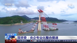 央視新聞報(bào)道：中國(guó)建材專(zhuān)業(yè)化整合成效經(jīng)驗(yàn)交流！