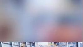 殺公雞！開窯！水泥廠“辟邪”！