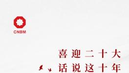 喜迎二十大:話說這十年，專業(yè)化整合深入推進(jìn) 產(chǎn)業(yè)布局不斷優(yōu)化
