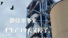 全停！最長(zhǎng)200天！20個(gè)省水泥廠停產(chǎn)！