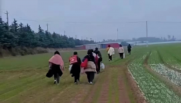 反撲！多省工地停工！水泥廠停發(fā)！商混站“告急”！