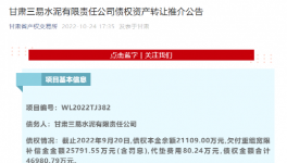 公告！多家水泥廠被賣！