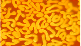 對比明顯，這個材料完勝！最長可用8年，節(jié)約電費百萬！