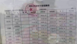 工資曝光！村長“秒殺”水泥廠高管！