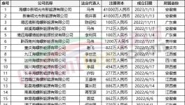 瘋狂！“上下”通吃！海螺連續(xù)成立50多家公司！