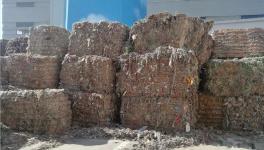 創(chuàng)收40萬/天！替代燃料降本火了！