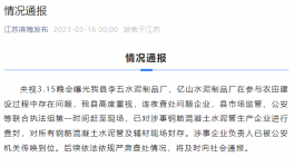 3.15在行動！假海螺水泥“泛濫”！