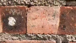 氣憤！“山寨”水泥！“假水泥”泛濫！