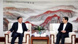 太慘了！大跌235元/噸！水泥產(chǎn)量創(chuàng)10年最大跌幅！