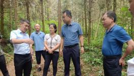 海螺水泥遷建項(xiàng)目有序推進(jìn)中！