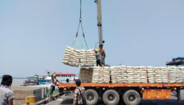 3000噸進(jìn)口水泥抵達(dá)，這一地區(qū)水泥降價(jià)！