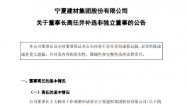 寧夏建材多位高管變動(dòng)！董事長(zhǎng)王玉林因工作調(diào)整離任！